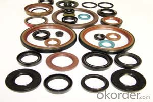 Automotive Industrial Rubber Covered O.D NBR TC Dual Lip Dustproof Mechanical Oil Seal
