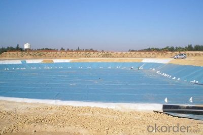 LLDPE Geomembrane for Environmental Projects water conservancy projects landfill