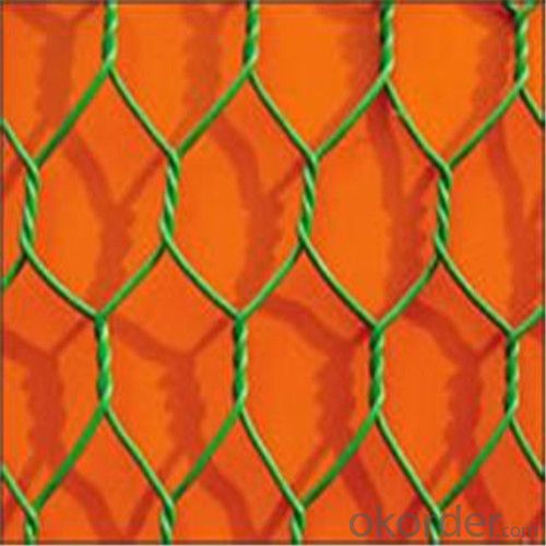 Hexagonal Wire Mesh Netting/good corrosion resistance and oxidation resistance