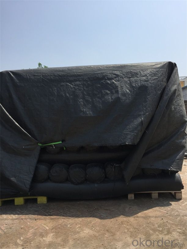 geotextile