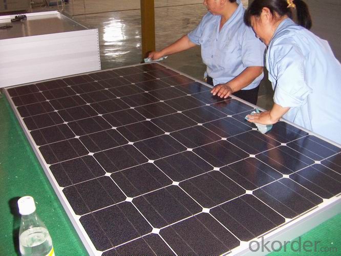 Monocrystalline Solar Panel Solar Module in 300W