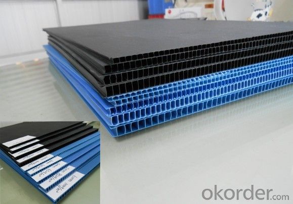 Colored PP Hollow Corrugated Sheet with 1.22*2.44meters