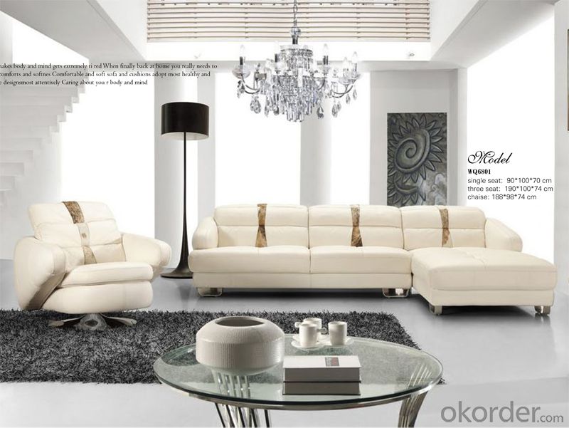 Top Quality Leather Sofa with Nice Color