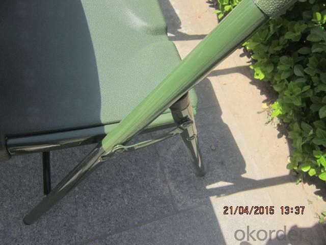 Outdoor Chair, by Stainless Steel Legs and Plastic Seat