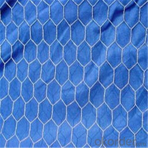 Galvanized Hexagonal Wire Netting / Chicken Netting with High Quality