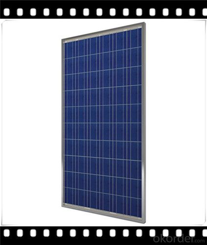 245W Poly solar Panel Mediuml Solar Panel Hot Selling Solar Panel CNBM