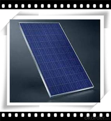 245W Poly solar Panel Mediuml Solar Panel Hot Selling Solar Panel CNBM