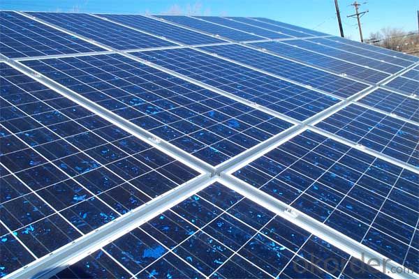 300W  Poly solar Panel Medium Solar Panel Factory Directly Sale CNBM