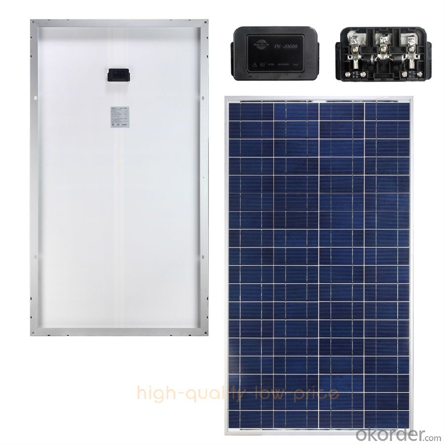 1W  Poly solar Panel Small Solar Panel Factory Directly Sale CNBM