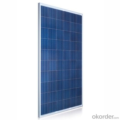 1W  Poly solar Panel Small Solar Panel Factory Directly Sale CNBM