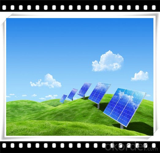 75W Poly solar Panel Small Solar Panel Manufacturer in China CNBM
