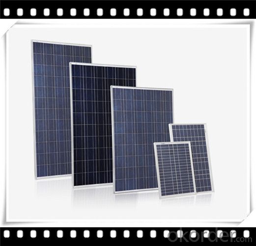 245W Poly solar Panel Medium Solar Panel Manufacturer in China CNBM