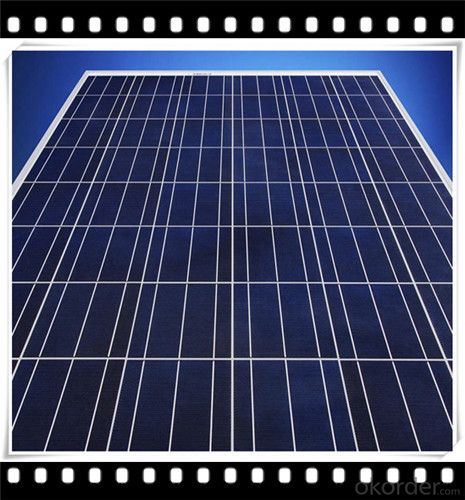 65W Poly solar Panel Mini Solar Panel Hot Selling Solar Panel CNBM