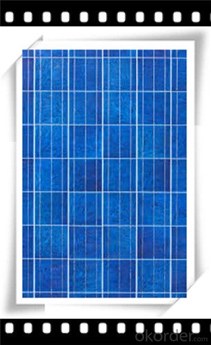 240W Poly solar Panel Mediuml Solar Panel Hot Selling Solar Panel CNBM