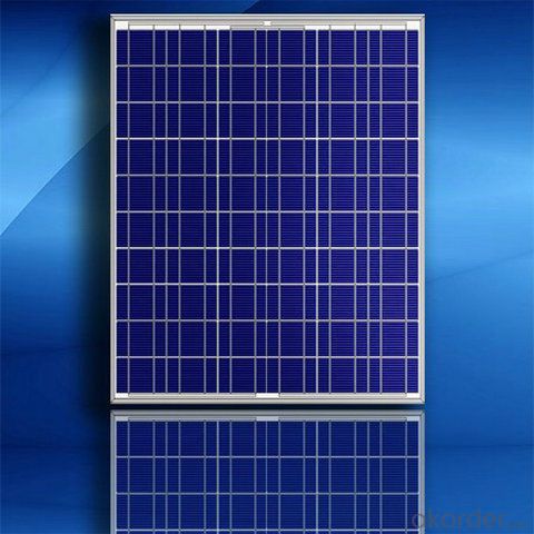 240W  Poly solar Panel Medium Solar Panel Factory Directly Sale CNBM