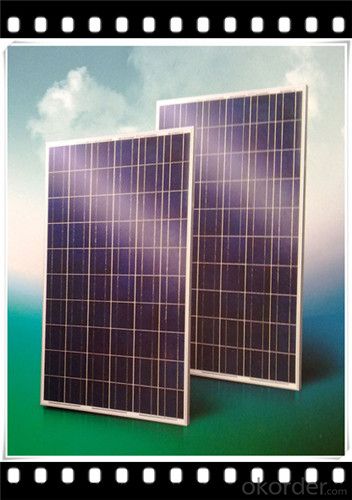 70W Poly solar Panel Mini Solar Panel Hot Selling Solar Panel CNBM