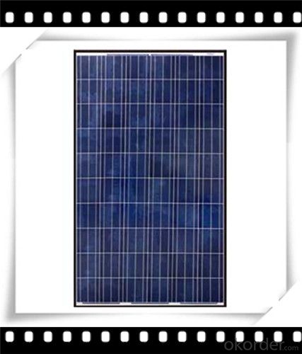 240W Poly solar Panel Medium Solar Panel Newest Solar Panel CNBM