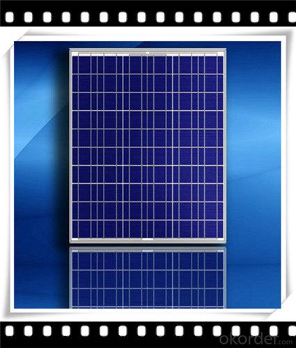 285W Poly solar Panel Medium Solar Panel Newest Solar Panel CNBM