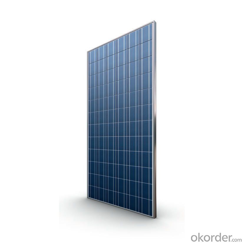 65W  Poly solar Panel Small Solar Panel Factory Directly Sale CNBM