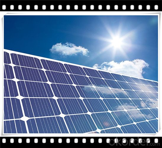 75W Poly solar Panel Small Solar Panel Manufacturer in China CNBM