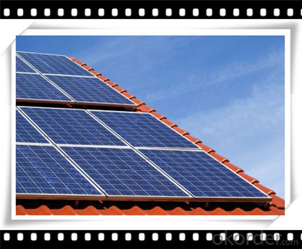 50W Poly solar Panel Mini Solar Panel Hot Selling Solar Panel CNBM