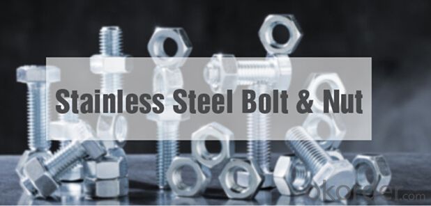 High Strength Bolt for  the Steel Structure