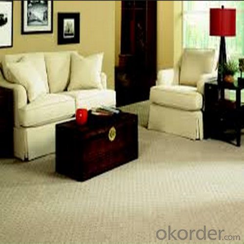 Credit Insurance Exhibiton Fireproof Hand Tufted Carpet/Rug