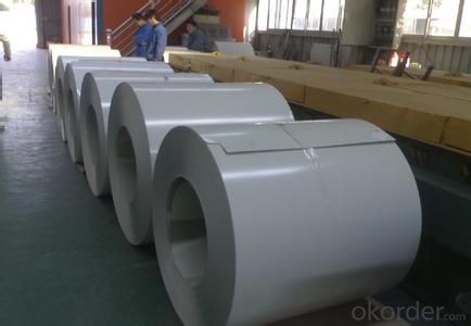 Prepainted Galvanized Rolled Steel Sheet from china