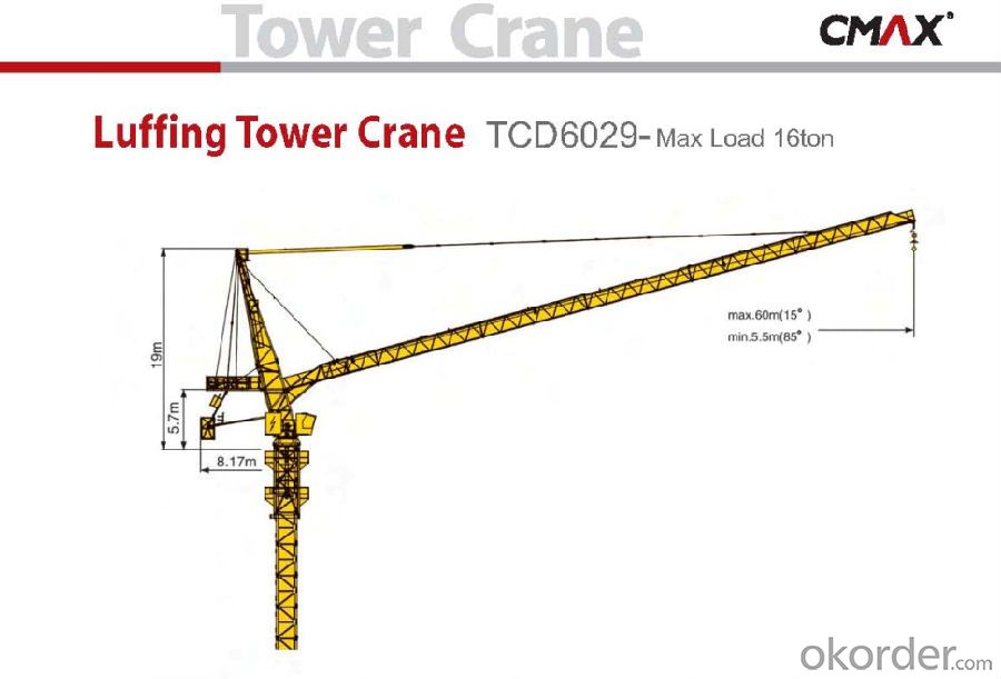 TCD6029 16T Folding Luffing Crane for Sale