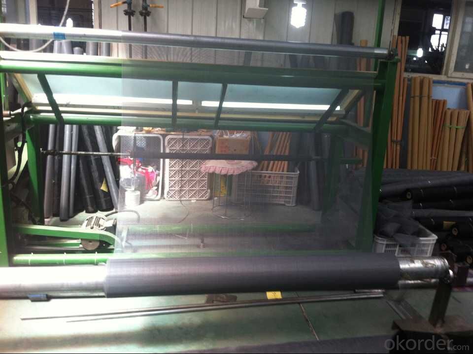 Insect Screen Mesh in Plastic with 14*14m