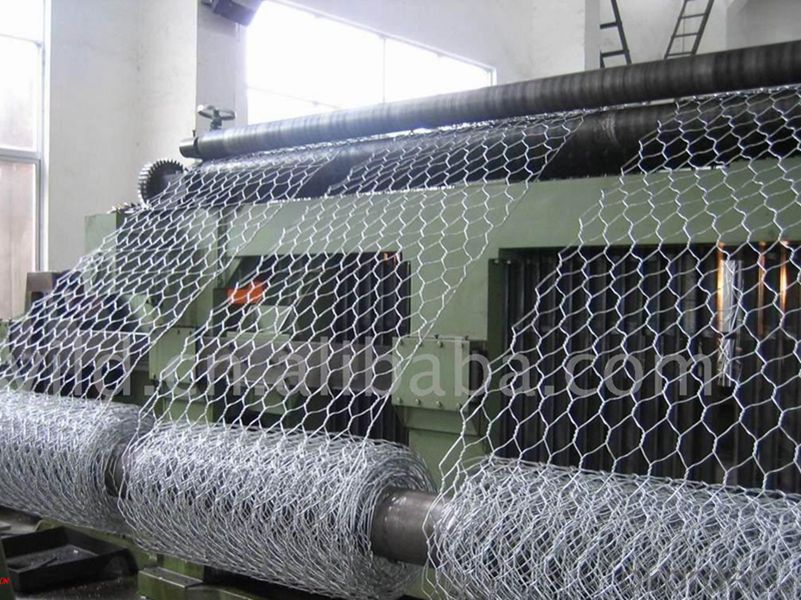 Hex Galvanized Wire Netting for Chicken and Farm