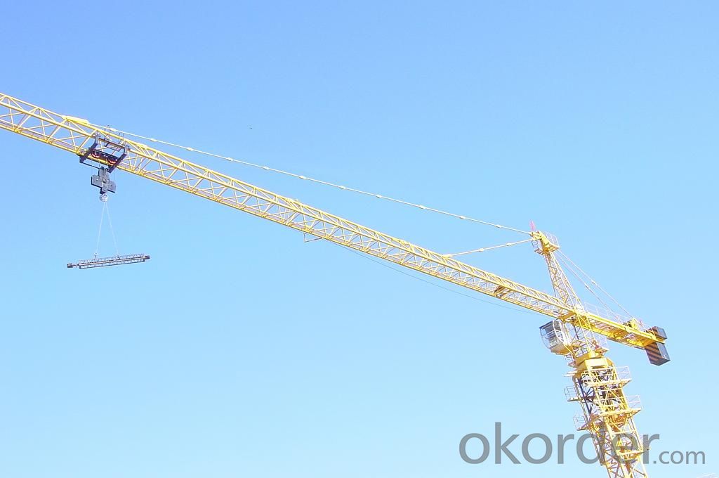 8T Tower Crane Supplier with CE ISO Certificate
