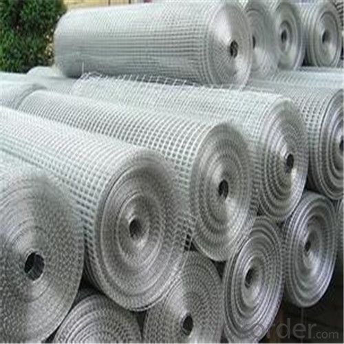 Galvanized Wire Mesh/Hot Dipped  Electro Galvanized, PVC  Durable Factory Price