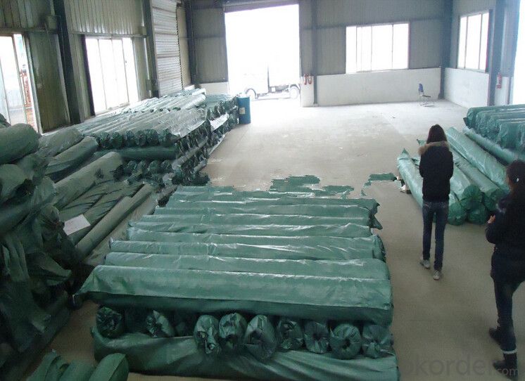 PVC Waterproof Membrane for Outdoor Exhibition Hall High Tensile Strength