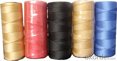 Different Color Dyed 100% Plastic Nylon Yarn