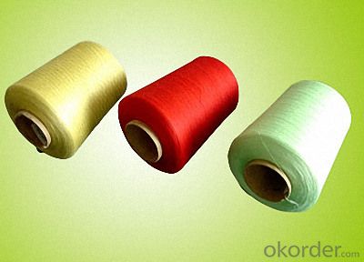 Polyester 100% Nylon 6/66 Yarn Dyed Blend