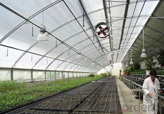 Multispan Tunnel Greenhouse for Agricultural Film