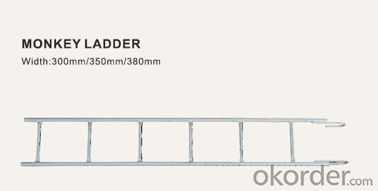 Monkey Ladder 380*3000 for Ring Lock Scaffold System CNBM