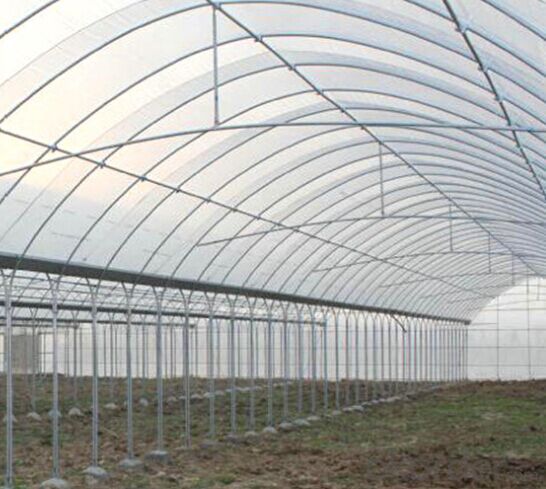 Large Multi-span Glass Greenhouse-commercial Greenhouses