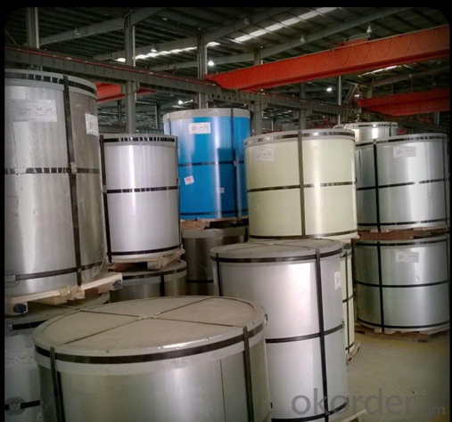 Pre-Painted Galvanized Steel Coil Construction Purposes