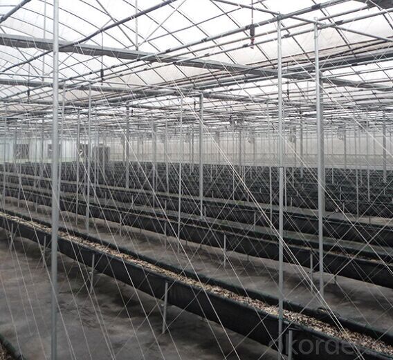Agriculture Material Farm Green House 2-12m