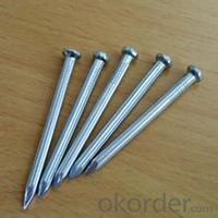 Common Nails with Good Quality Iron Common Nail with Best Price