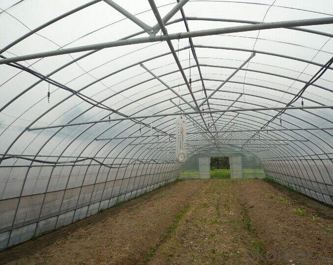 Multispan Plastic Film Greenhouse for Tomato Cucumber Flower Horticulture