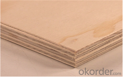 Decorative Poplar Material Commercial Plywood