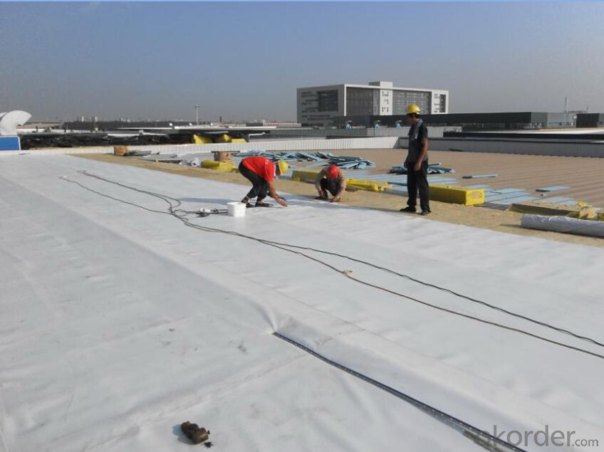 PVC waterproof membrane