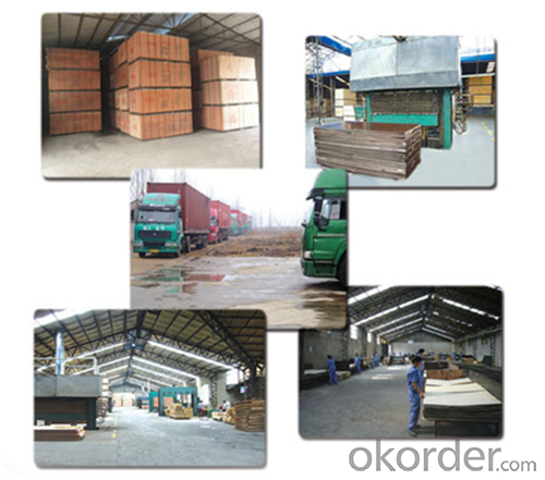 Fancy Plywood from Professional Factory with High Quality