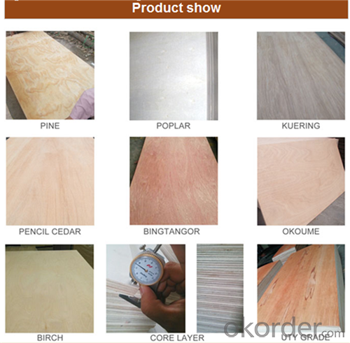Decorative Poplar Material Commercial Plywood