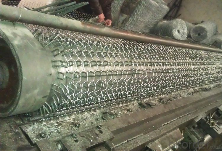 Galvanized Wire Mesh/Hot Dipped Galvanized, Electro Galvanized with Good Quality