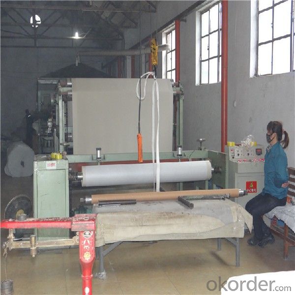 Polyvinyl Chloride (PVC) Waterproofing Membrane Polyester Scrim Reinforced