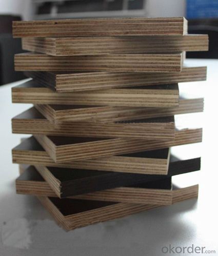 Brown or Black Film Faced Plywood with High Quality